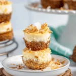 Coconut Milk Mini Cheesecakes